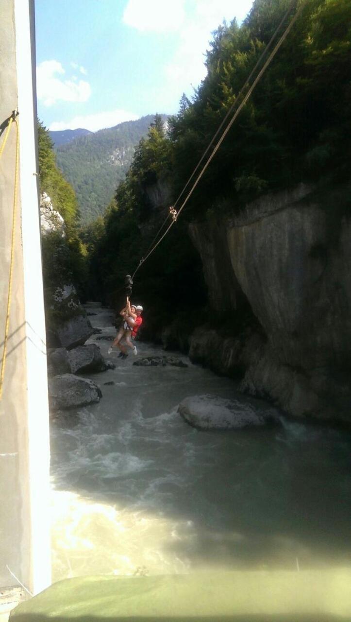 Bergblick Apartment Golling an der Salzach Luaran gambar