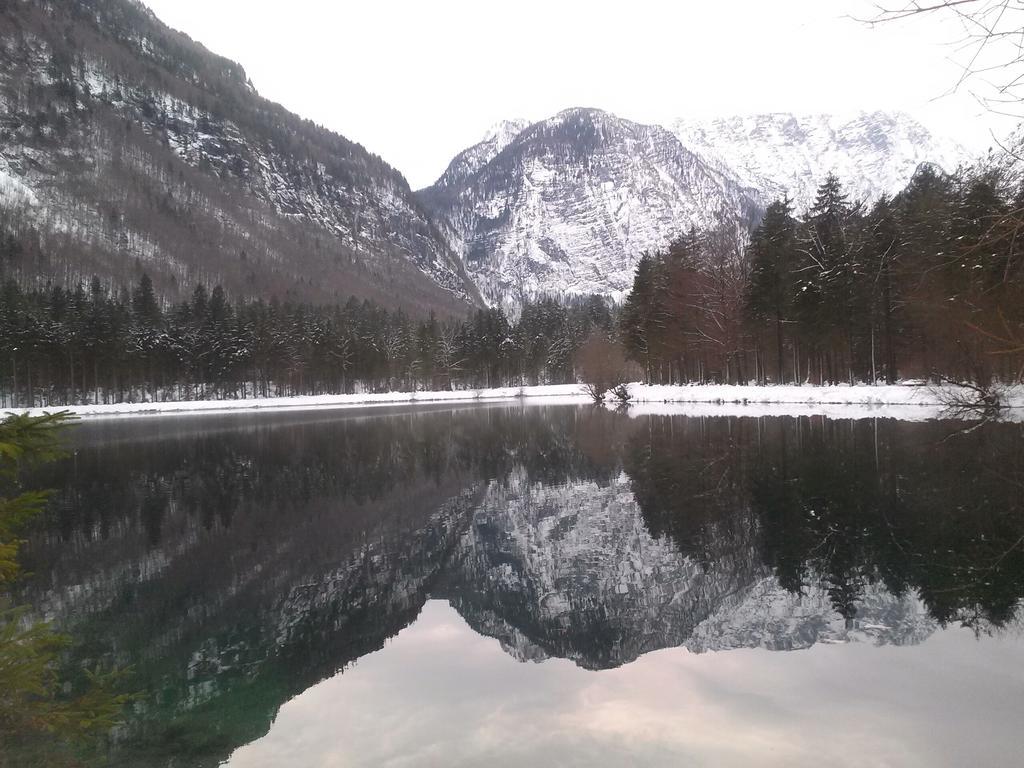 Bergblick Apartment Golling an der Salzach Luaran gambar