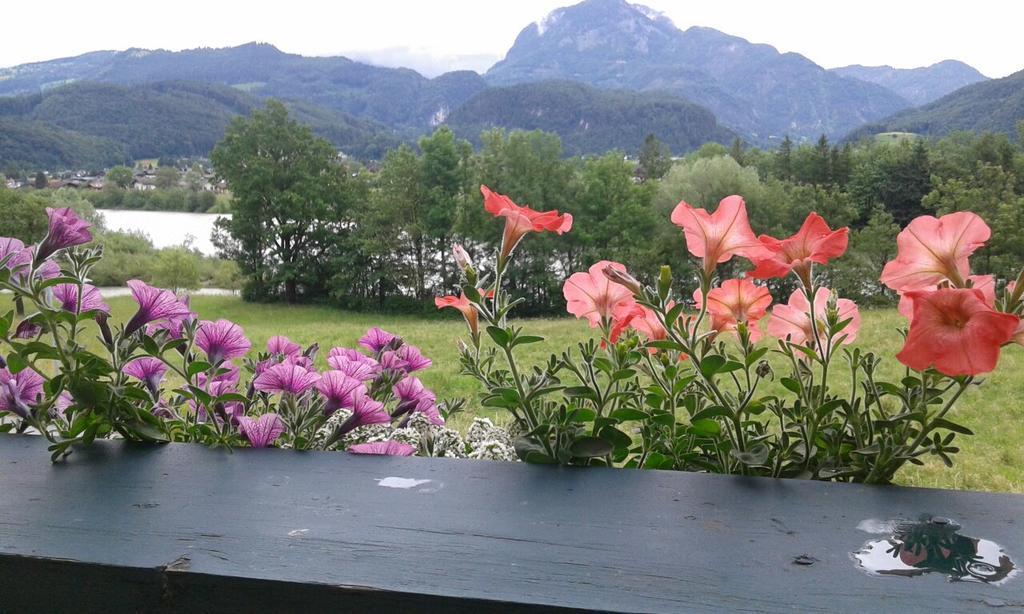 Bergblick Apartment Golling an der Salzach Luaran gambar