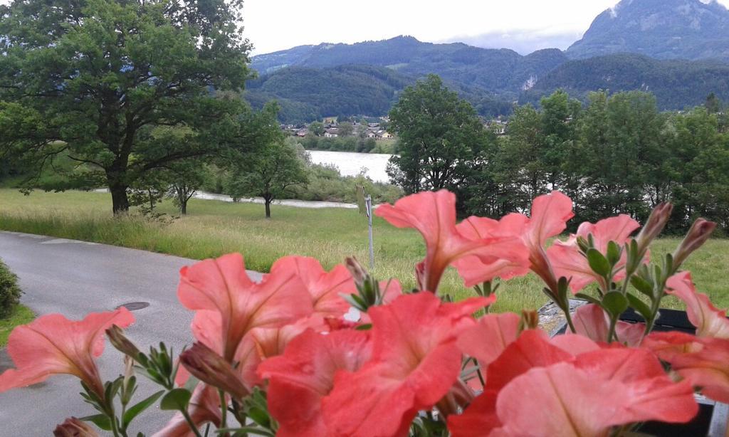 Bergblick Apartment Golling an der Salzach Luaran gambar